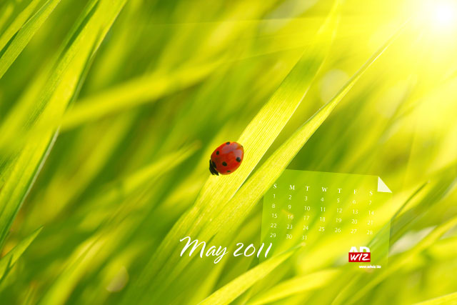 2011 calendar wallpaper. may 2011 calendar wallpaper.